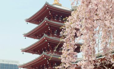 The Endless Japan Discovery Classic Tour 2026